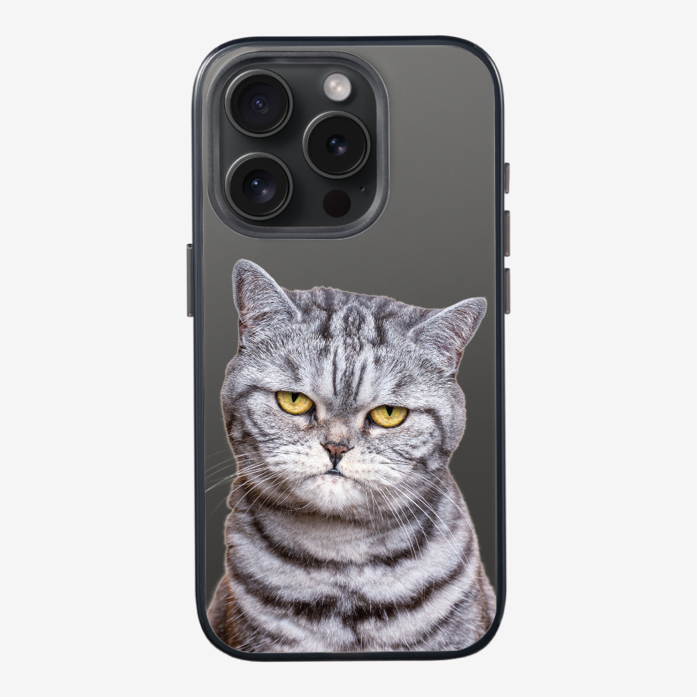 Silver Tabby (Transparent) Phone Case