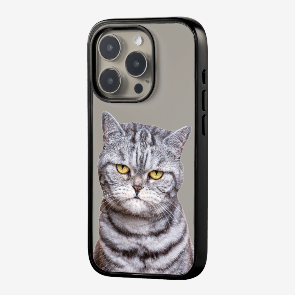 Silver Tabby (Transparent) Phone Case