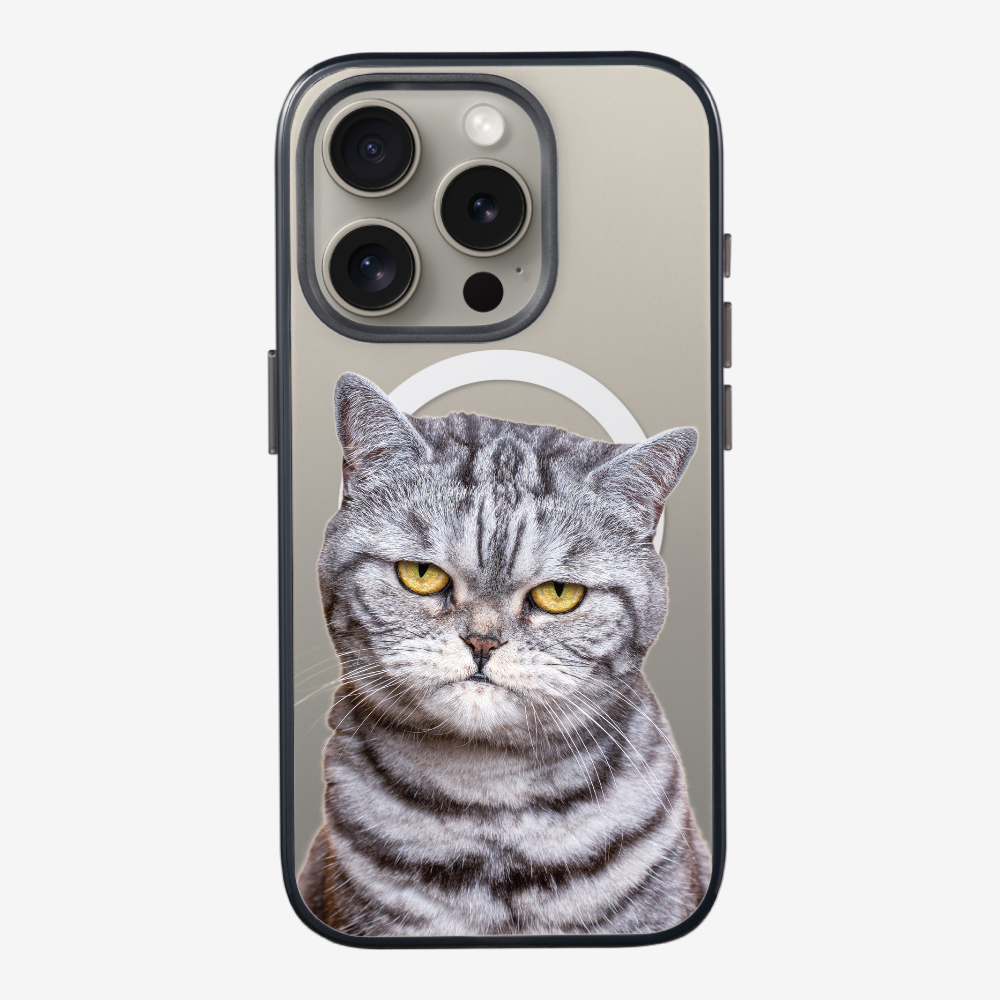 Silver Tabby (Transparent) Phone Case