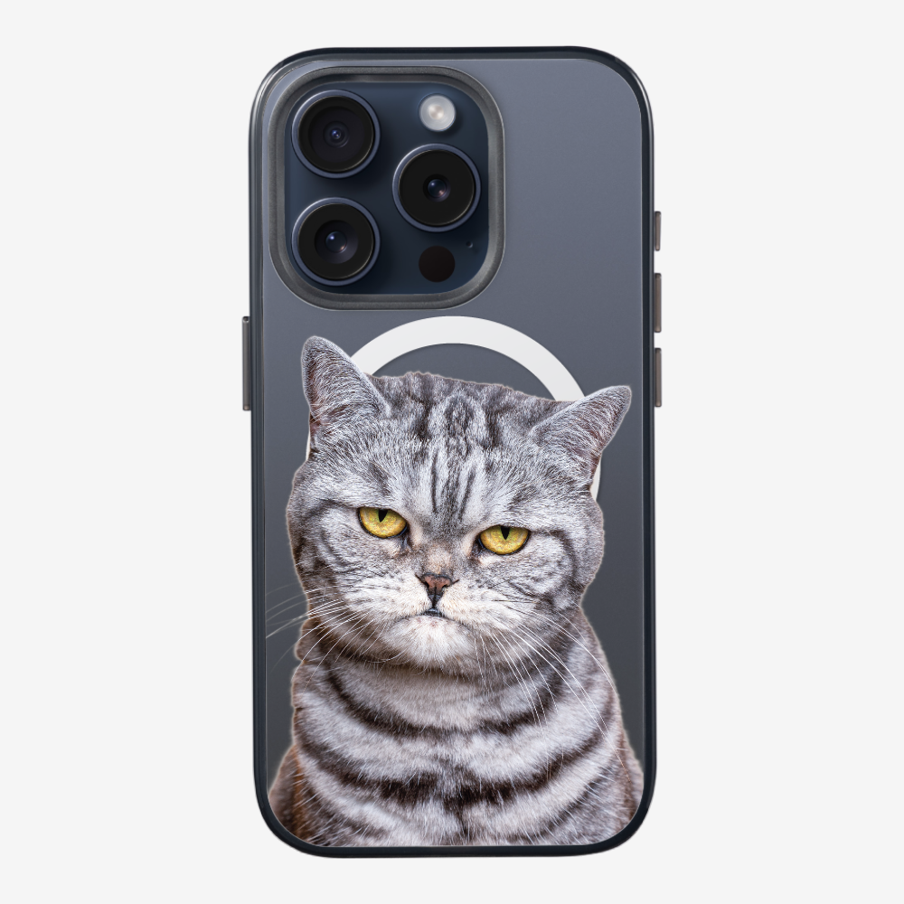 Silver Tabby (Transparent) Phone Case