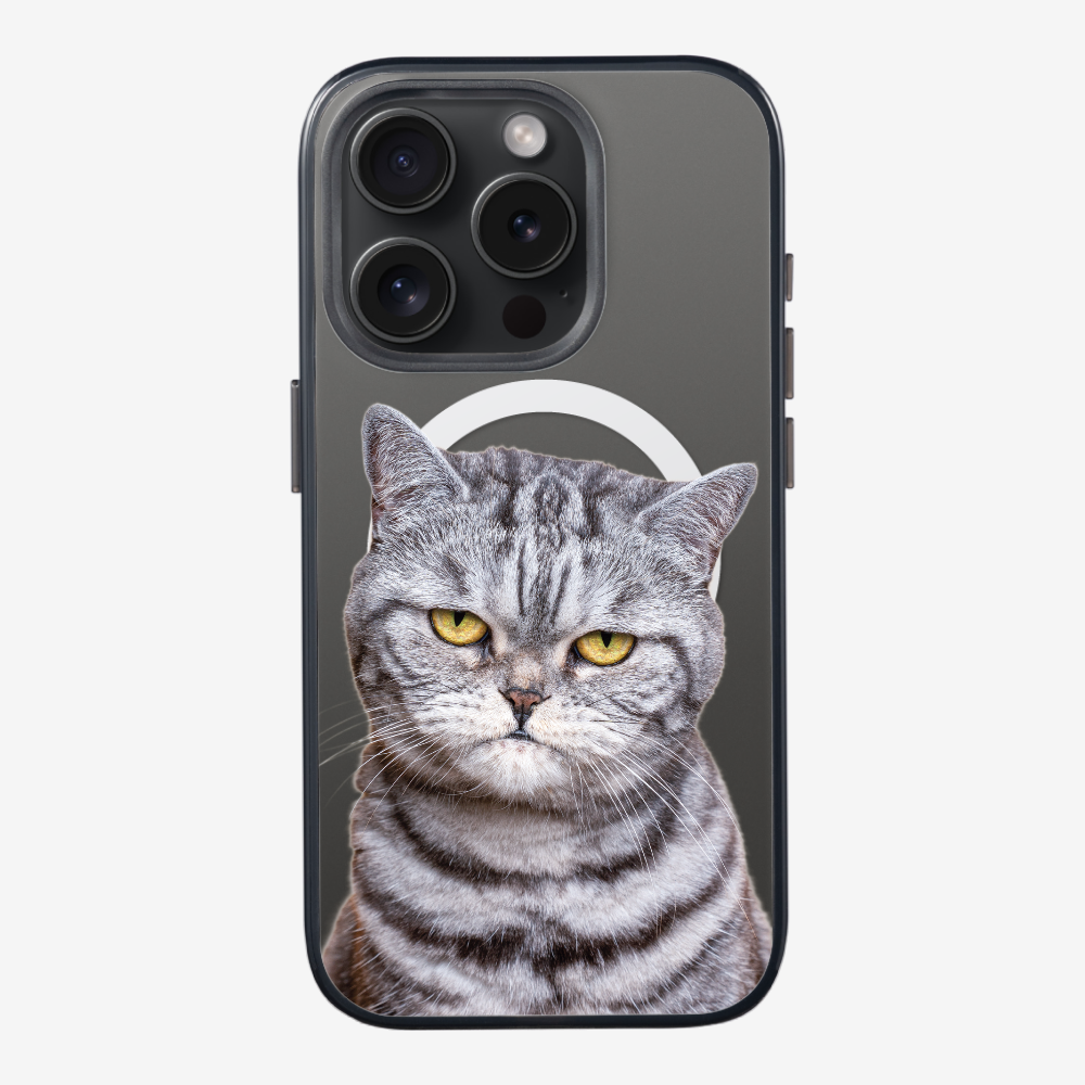 Silver Tabby (Transparent) Phone Case