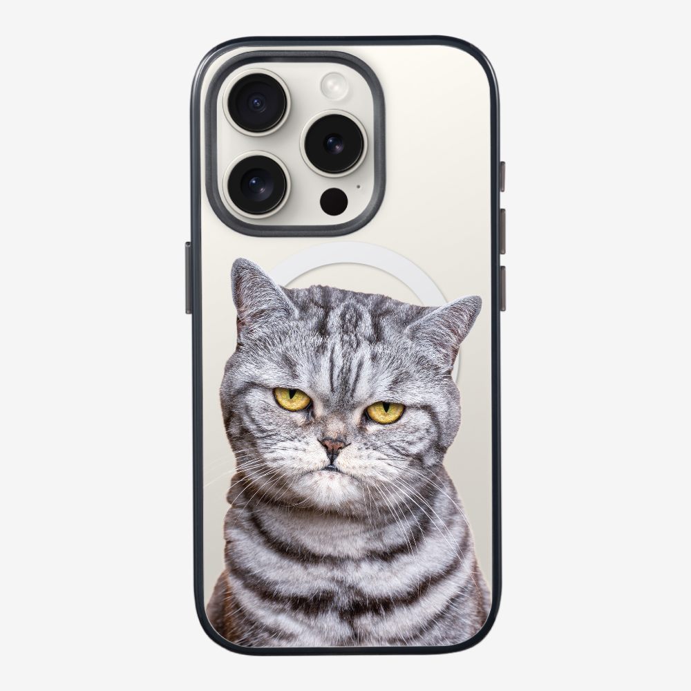 Silver Tabby (Transparent) Phone Case