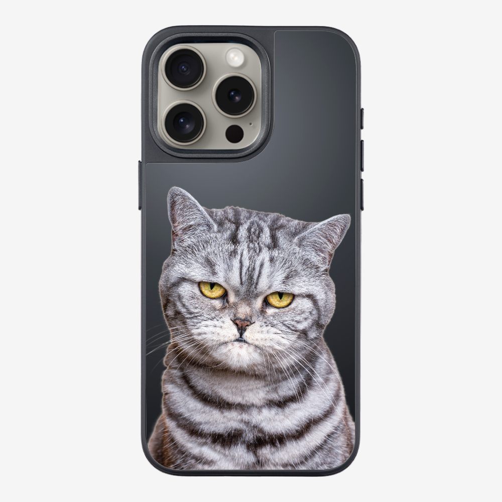 Silver Tabby (Transparent) Phone Case