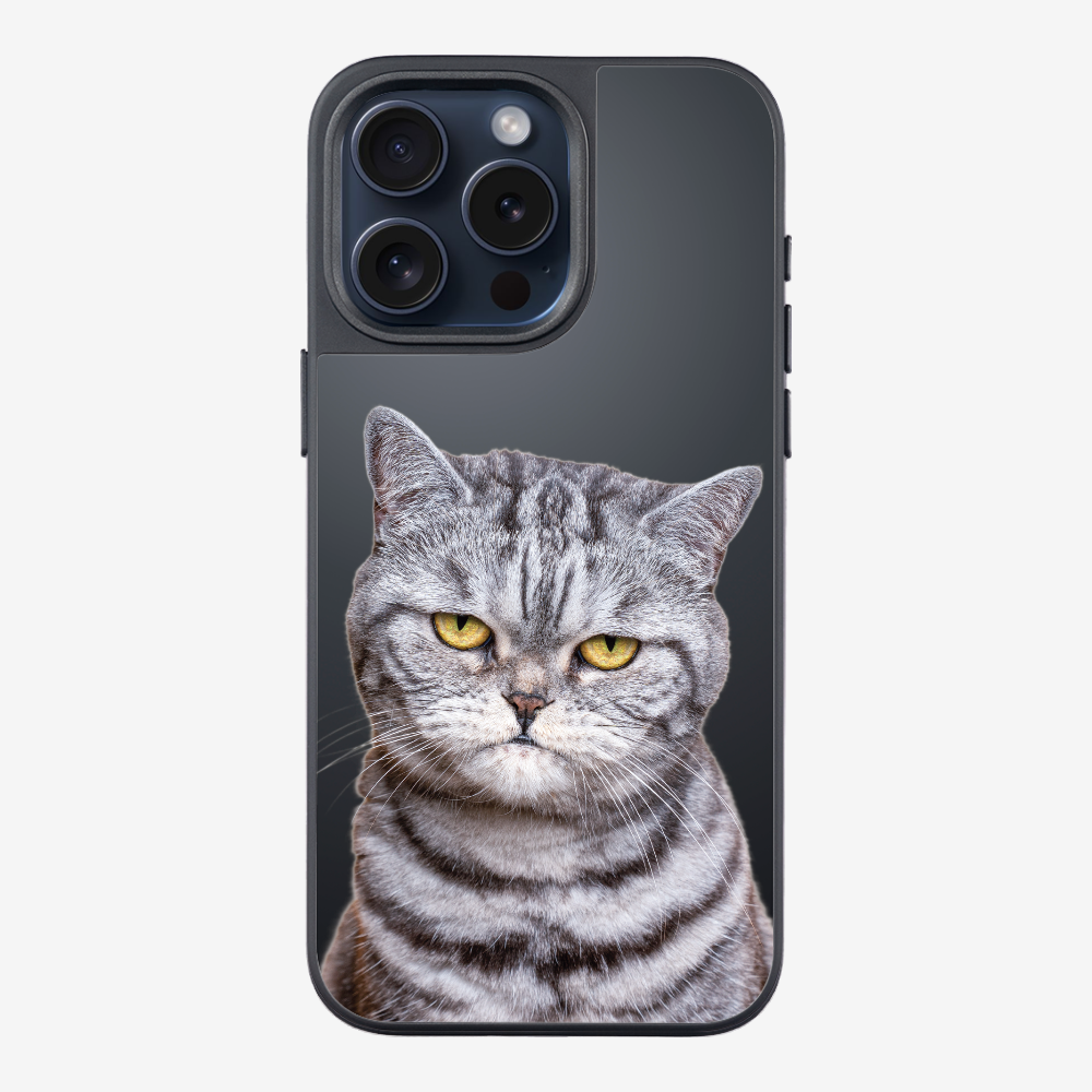 Silver Tabby (Transparent) Phone Case