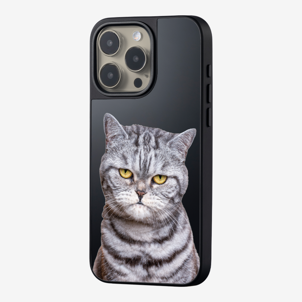 Silver Tabby (Transparent) Phone Case