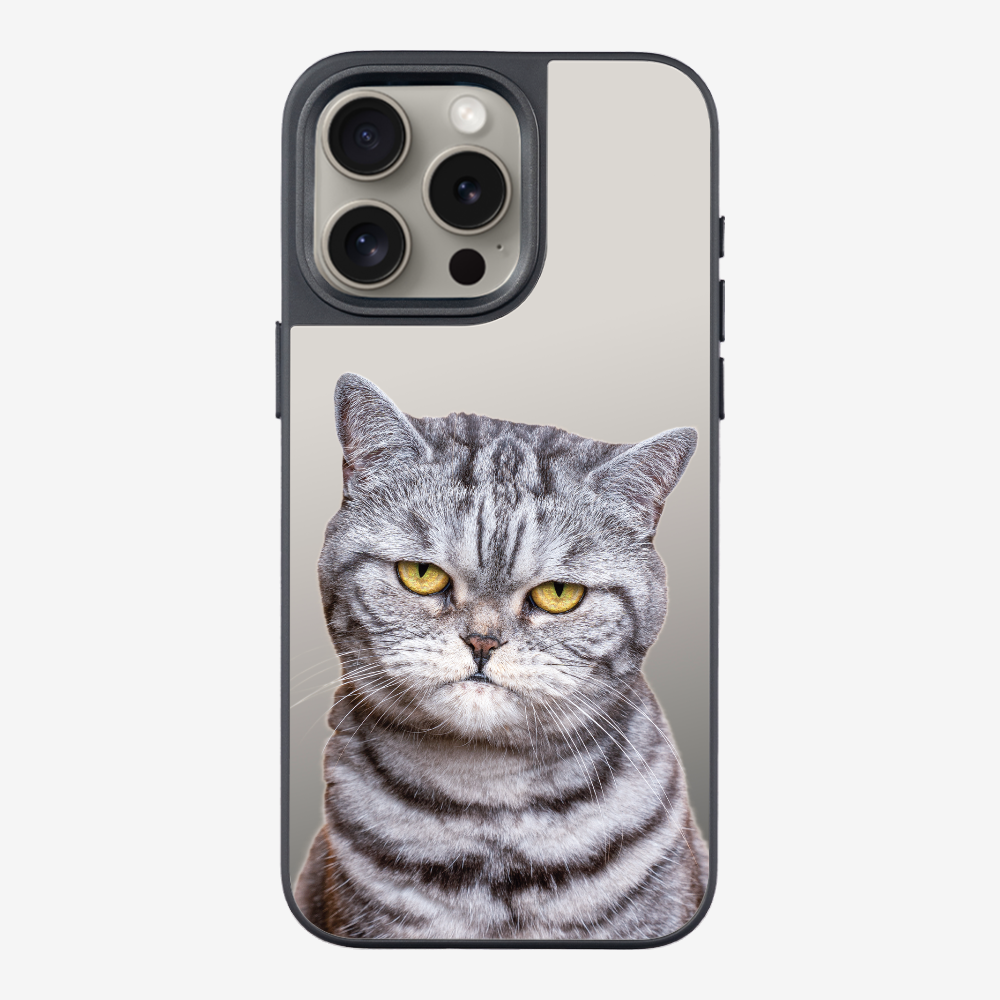 Silver Tabby (Transparent) Phone Case