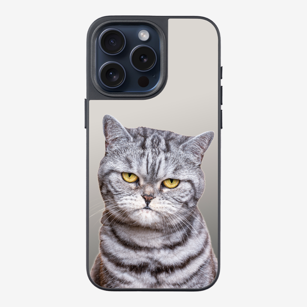 Silver Tabby (Transparent) Phone Case