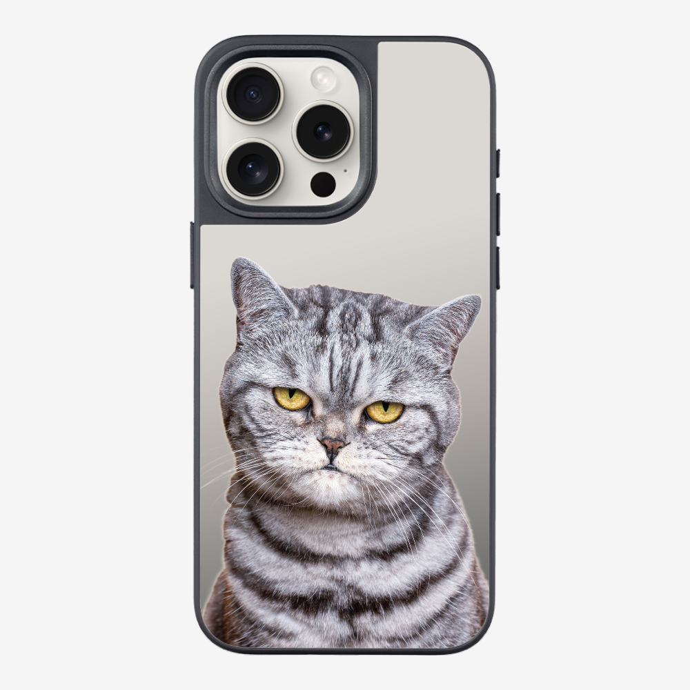 Silver Tabby (Transparent) Phone Case