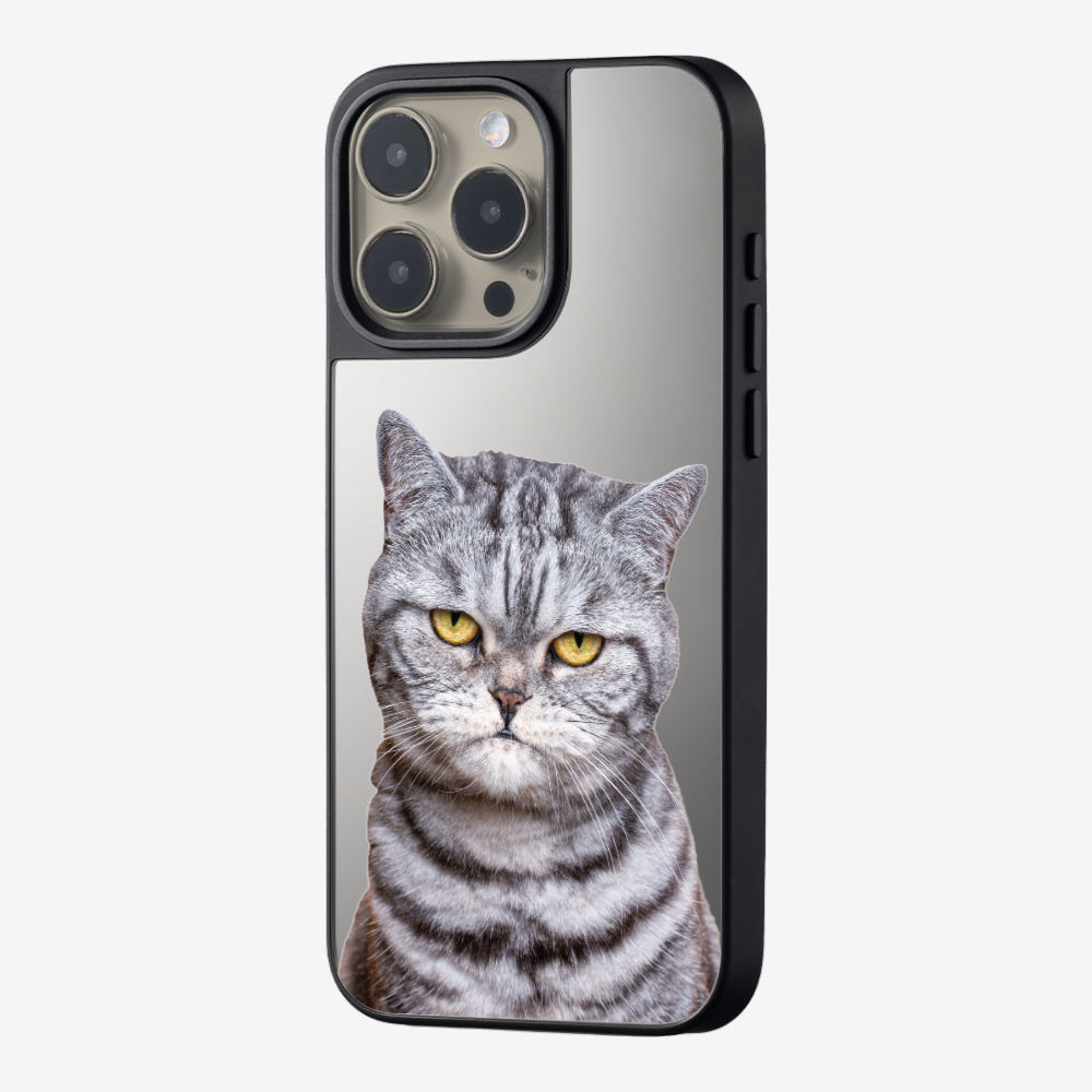 Silver Tabby (Transparent) Phone Case