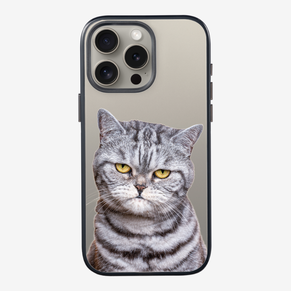 Silver Tabby (Transparent) Phone Case