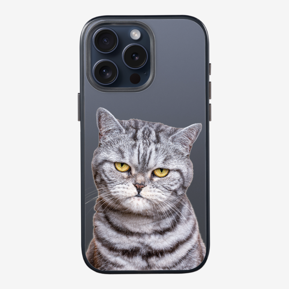 Silver Tabby (Transparent) Phone Case