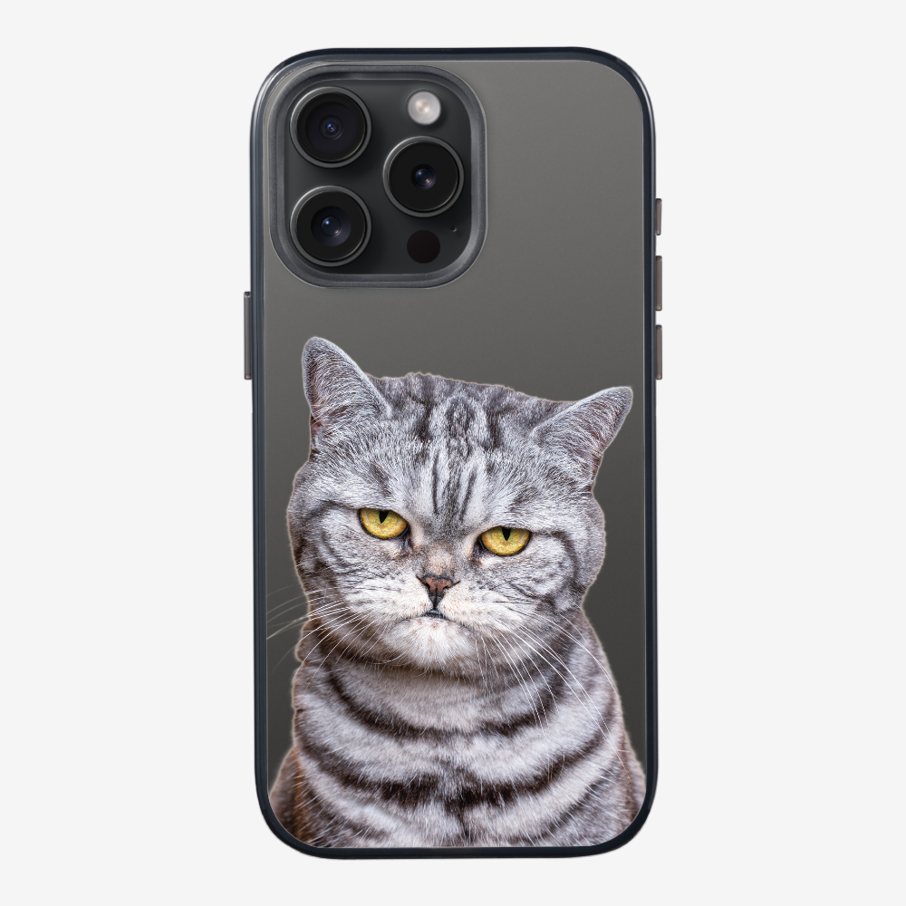 Silver Tabby (Transparent) Phone Case