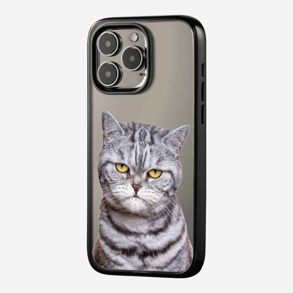 Silver Tabby (Transparent) Phone Case