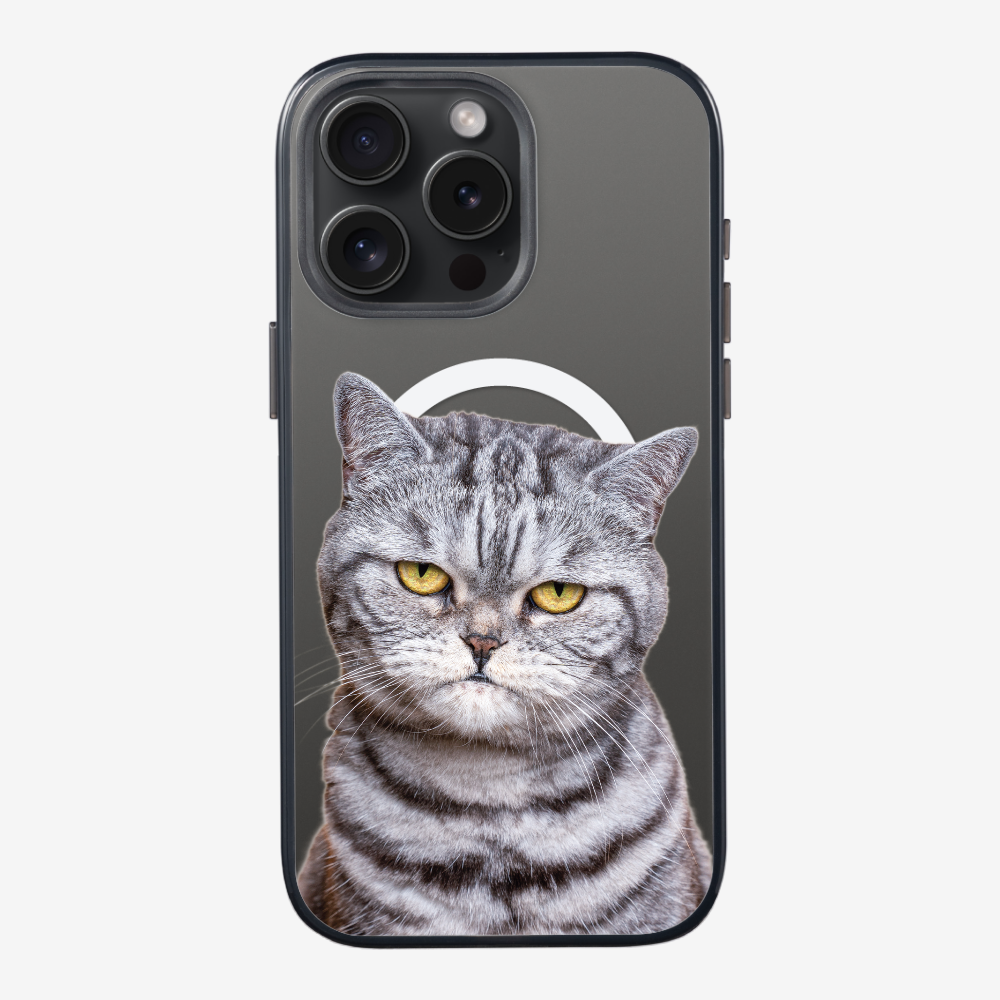 Silver Tabby (Transparent) Phone Case