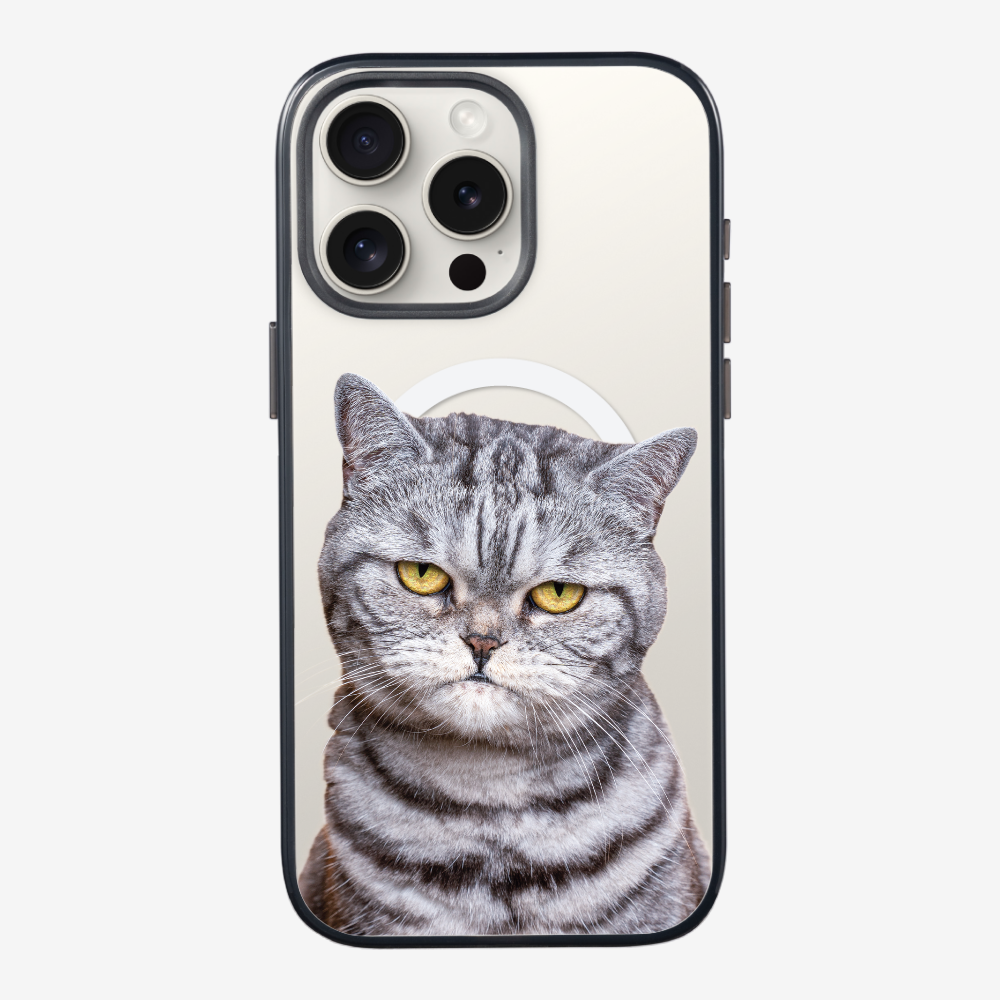 Silver Tabby (Transparent) Phone Case