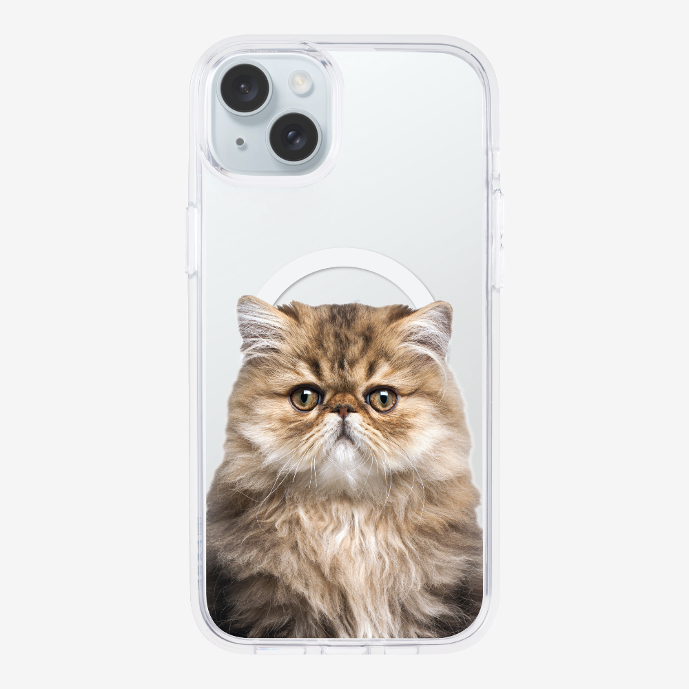 Persian Kitten (Transparent) Phone Case