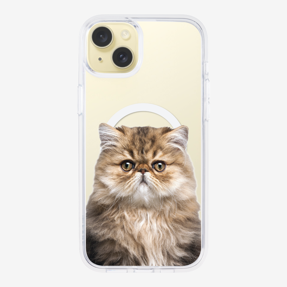 Persian Kitten (Transparent) Phone Case