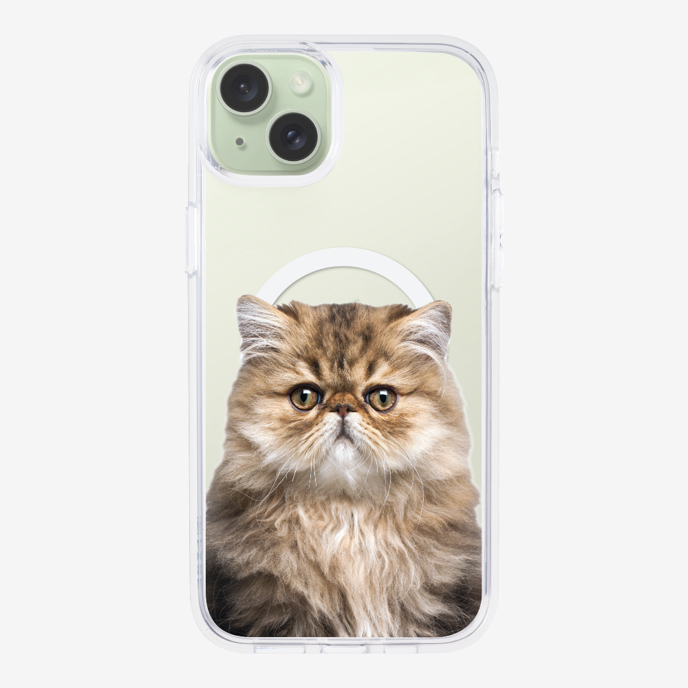 Persian Kitten (Transparent) Phone Case