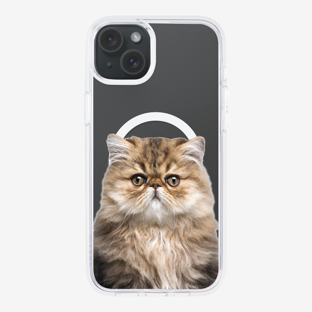 Persian Kitten (Transparent) Phone Case