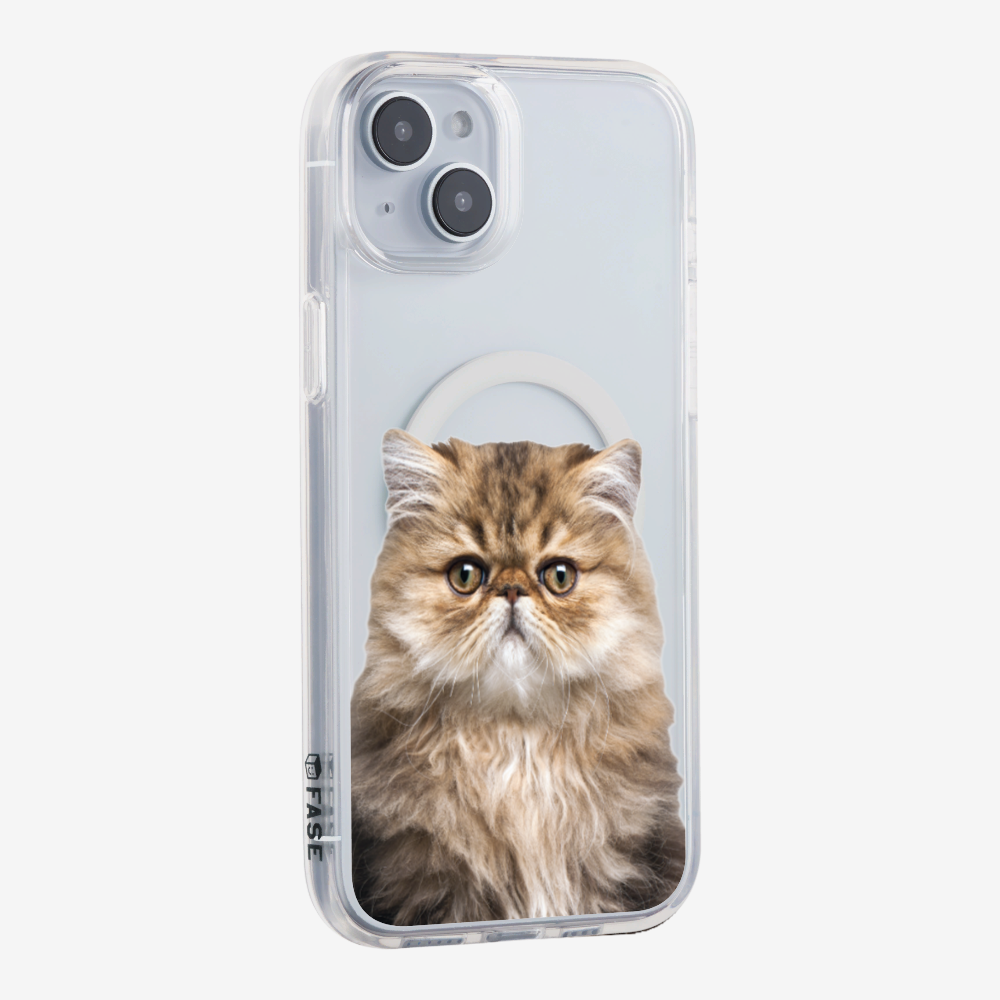 Persian Kitten (Transparent) Phone Case