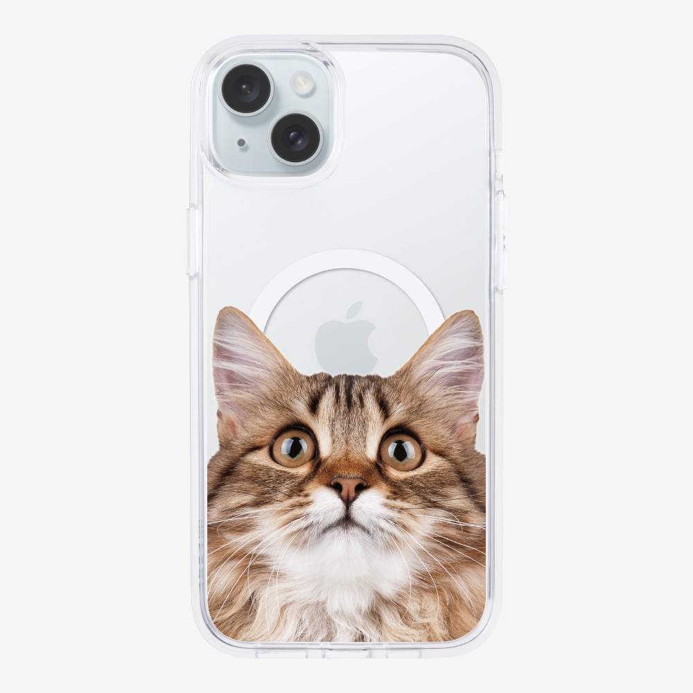 Long-haired Kitten (Transparent) Phone Case