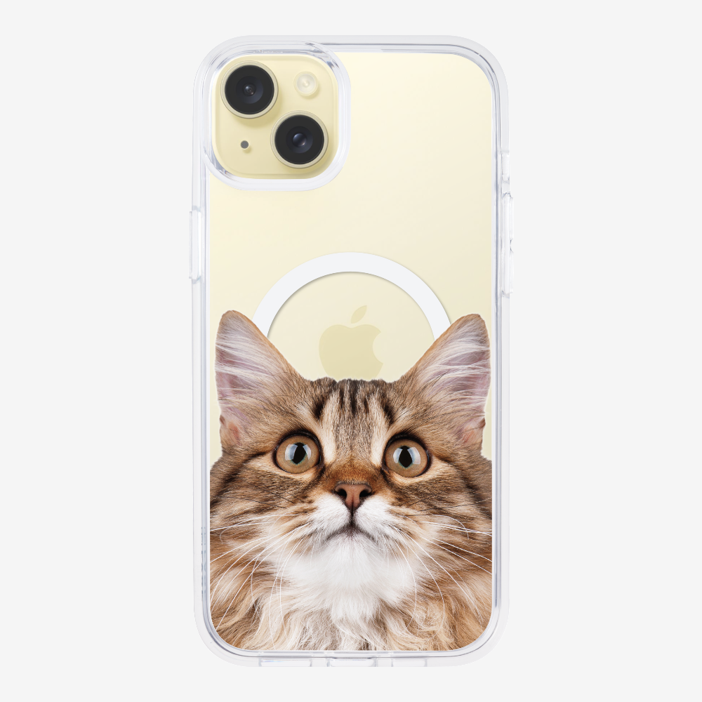 Long-haired Kitten (Transparent) Phone Case