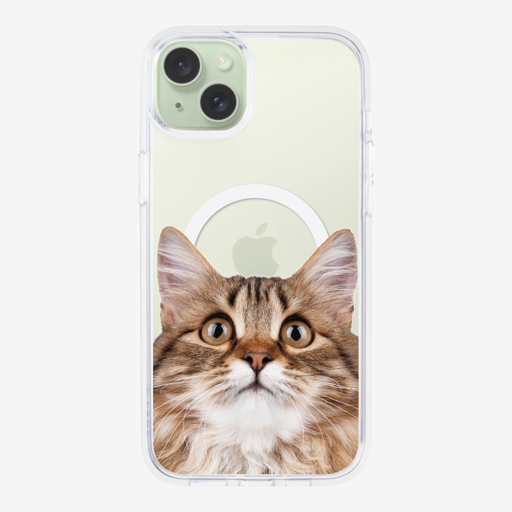 Long-haired Kitten (Transparent) Phone Case