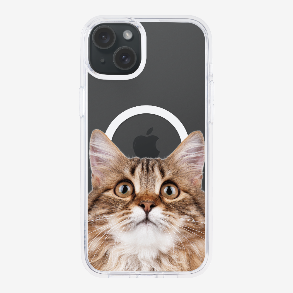 Long-haired Kitten (Transparent) Phone Case