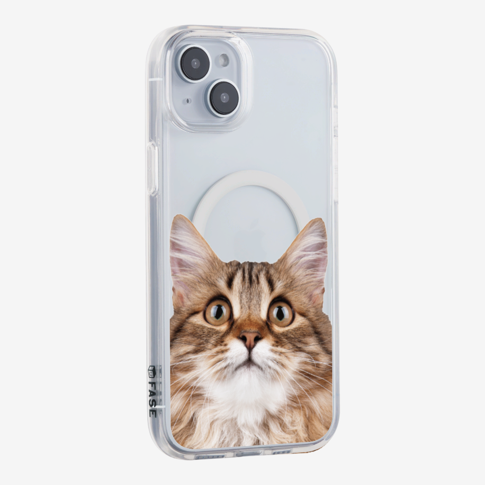 Long-haired Kitten (Transparent) Phone Case