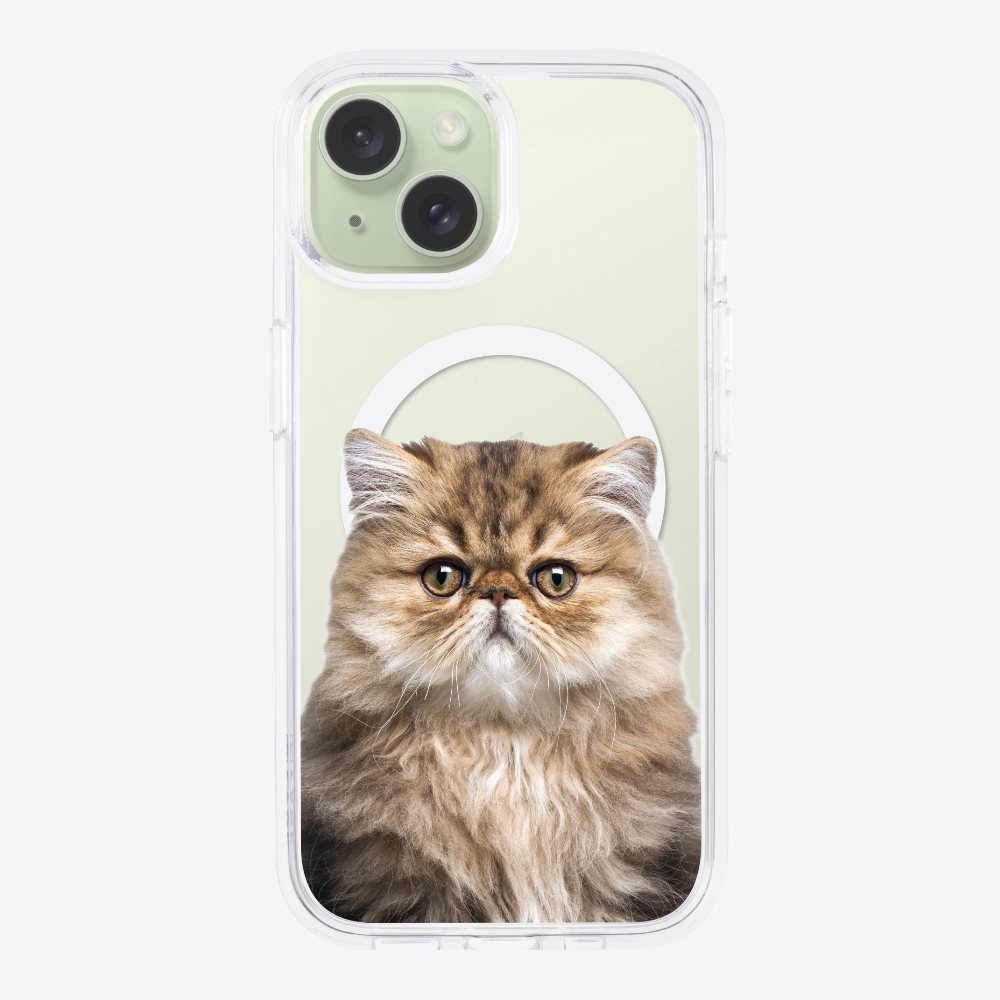 Persian Kitten (Transparent) Phone Case