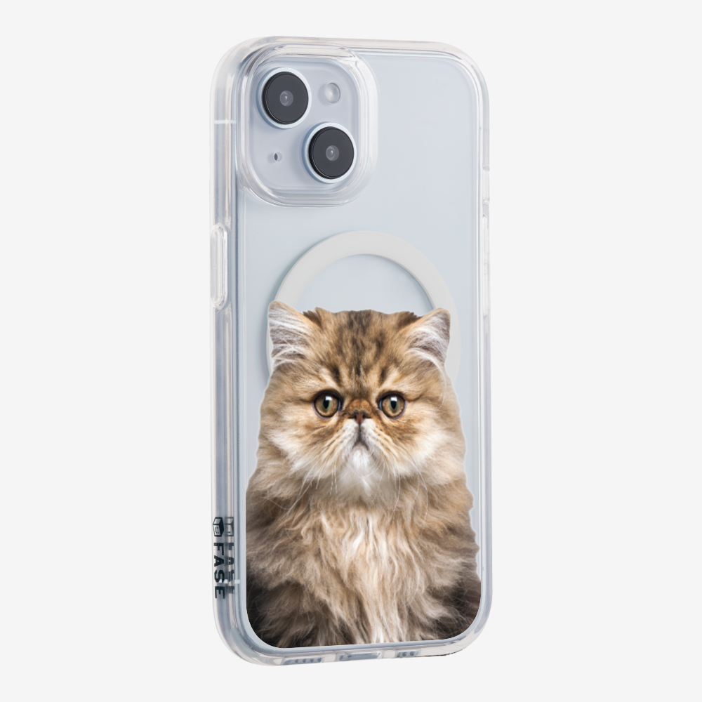 Persian Kitten (Transparent) Phone Case