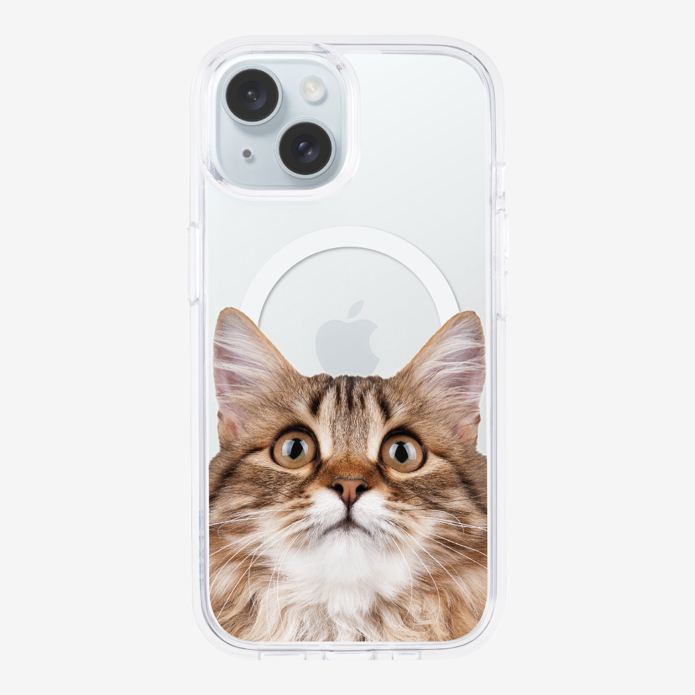 Long-haired Kitten (Transparent) Phone Case