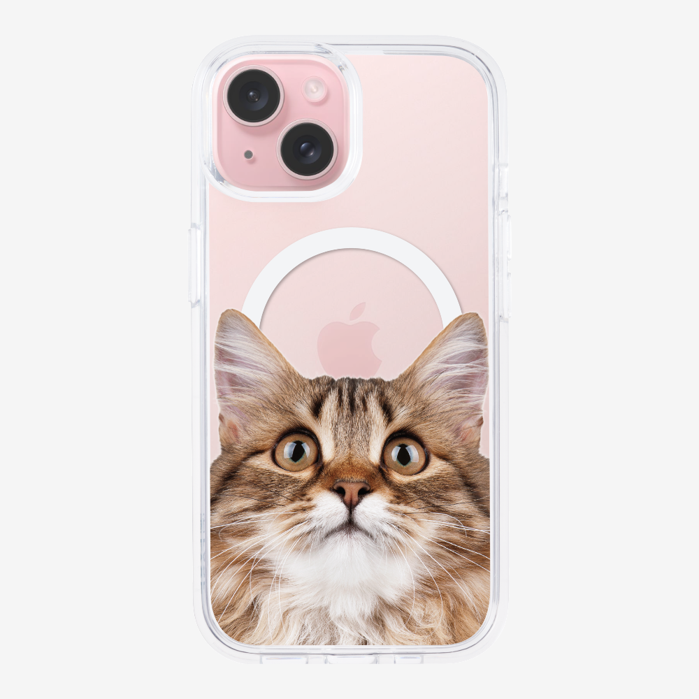 Long-haired Kitten (Transparent) Phone Case