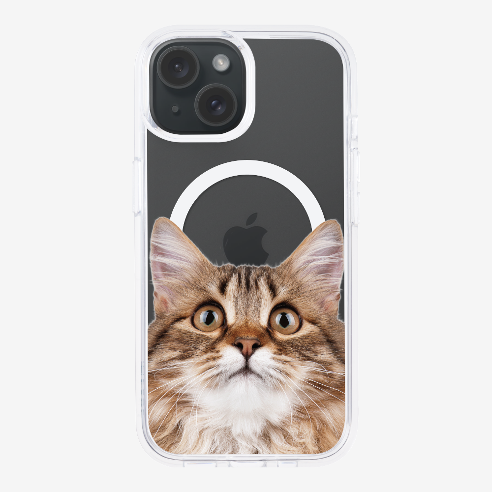 Long-haired Kitten (Transparent) Phone Case