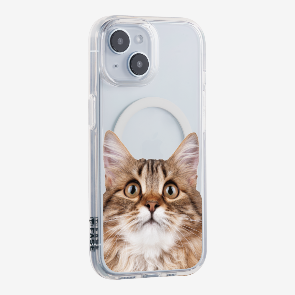 Long-haired Kitten (Transparent) Phone Case