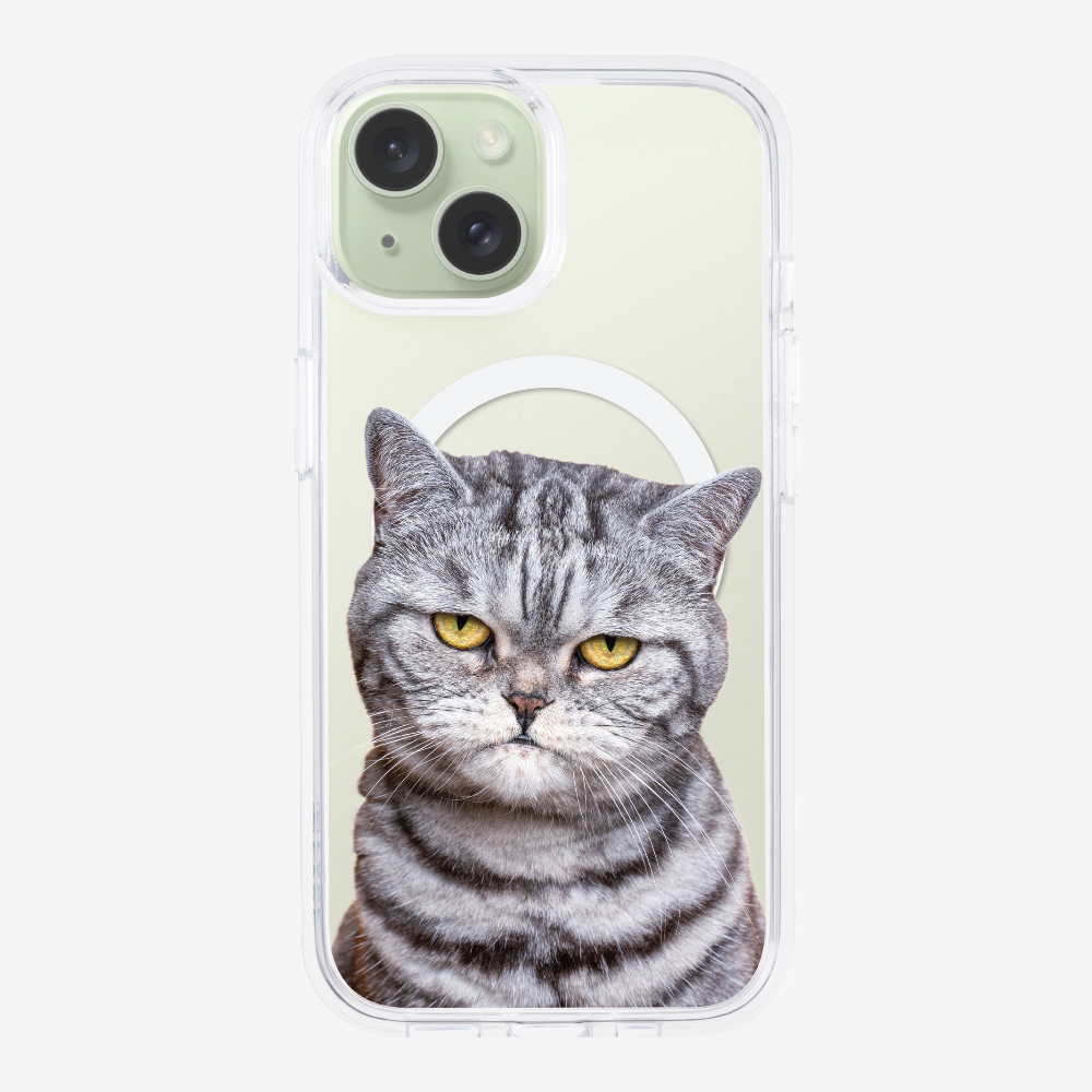 Silver Tabby (Transparent) Phone Case