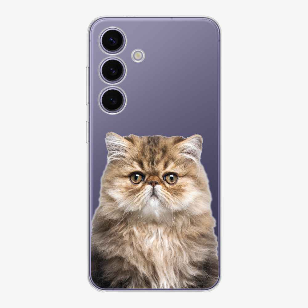 Persian Kitten (Transparent) Phone Case