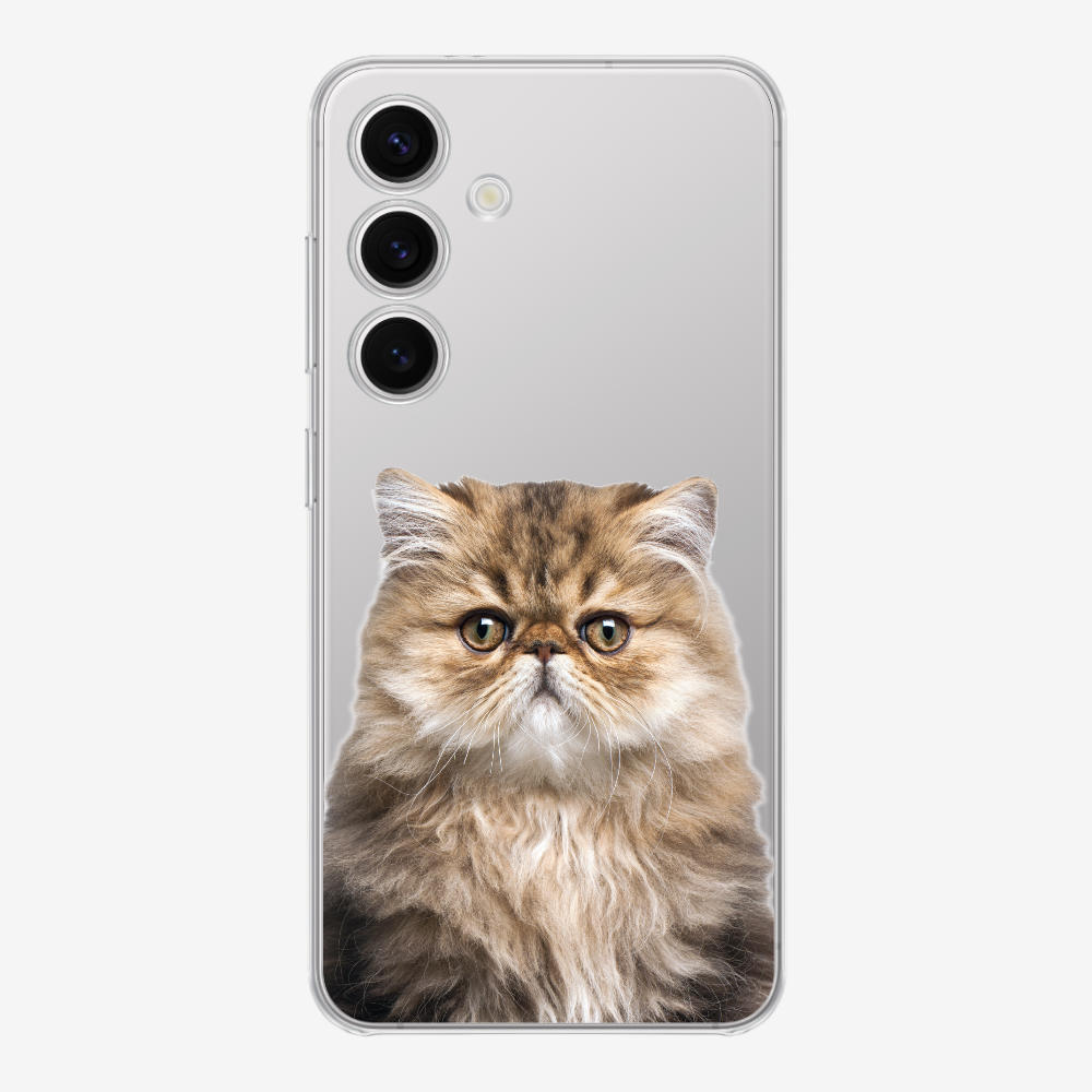 Persian Kitten (Transparent) Phone Case