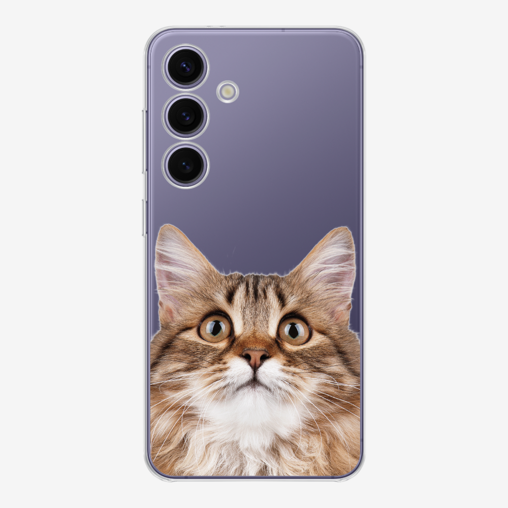 Long-haired Kitten (Transparent) Phone Case