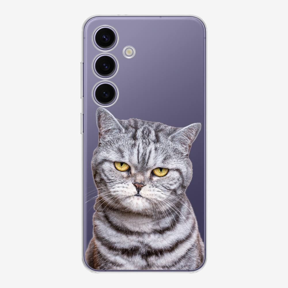 Silver Tabby (Transparent) Phone Case