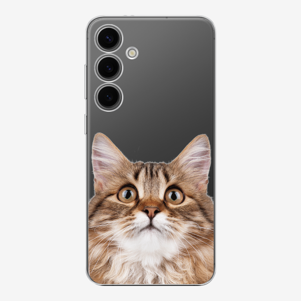 Long-haired Kitten (Transparent) Phone Case