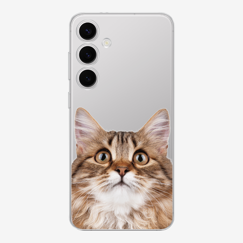 Long-haired Kitten (Transparent) Phone Case