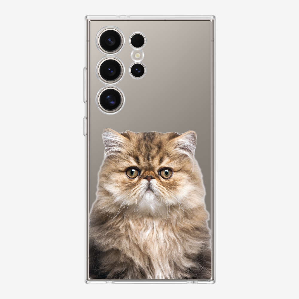 Persian Kitten (Transparent) Phone Case