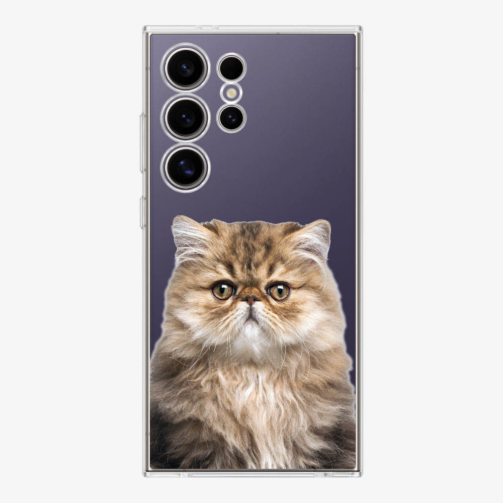 Persian Kitten (Transparent) Phone Case