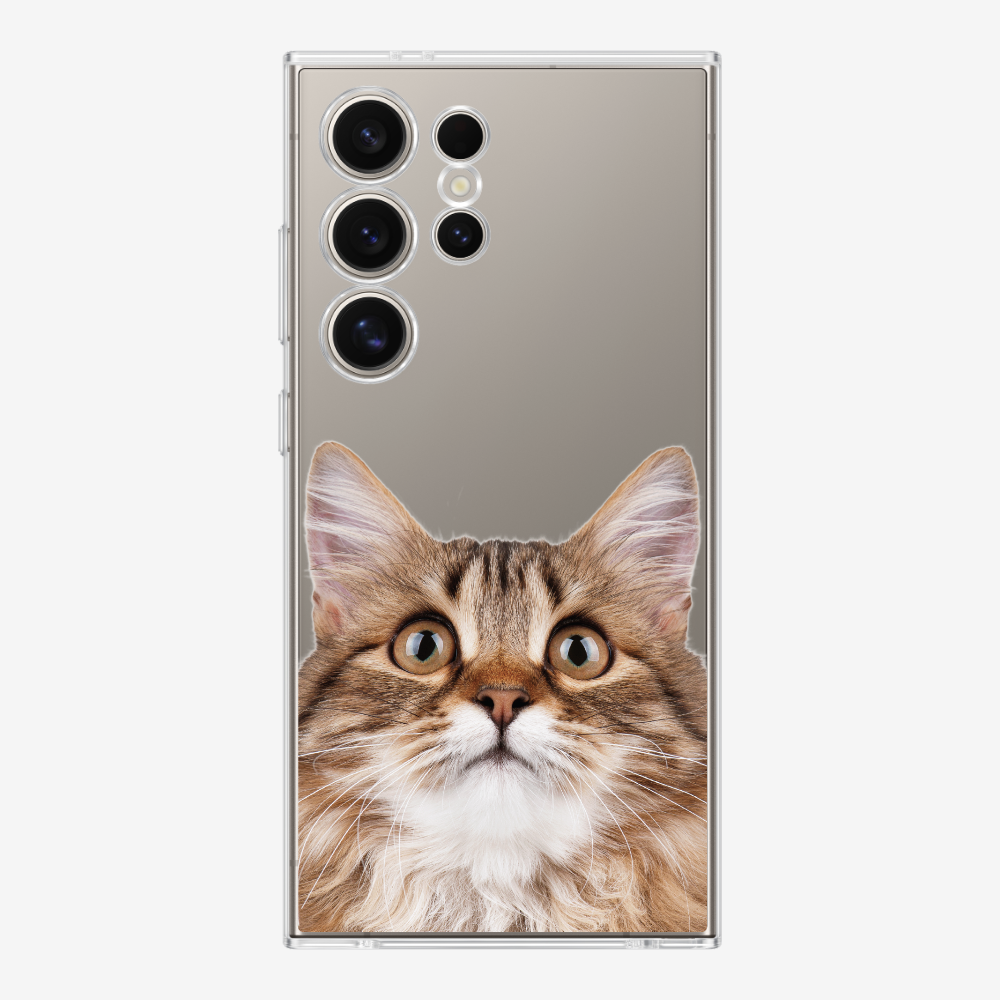 Long-haired Kitten (Transparent) Phone Case