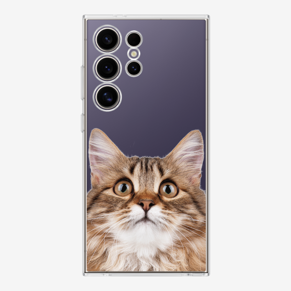 Long-haired Kitten (Transparent) Phone Case