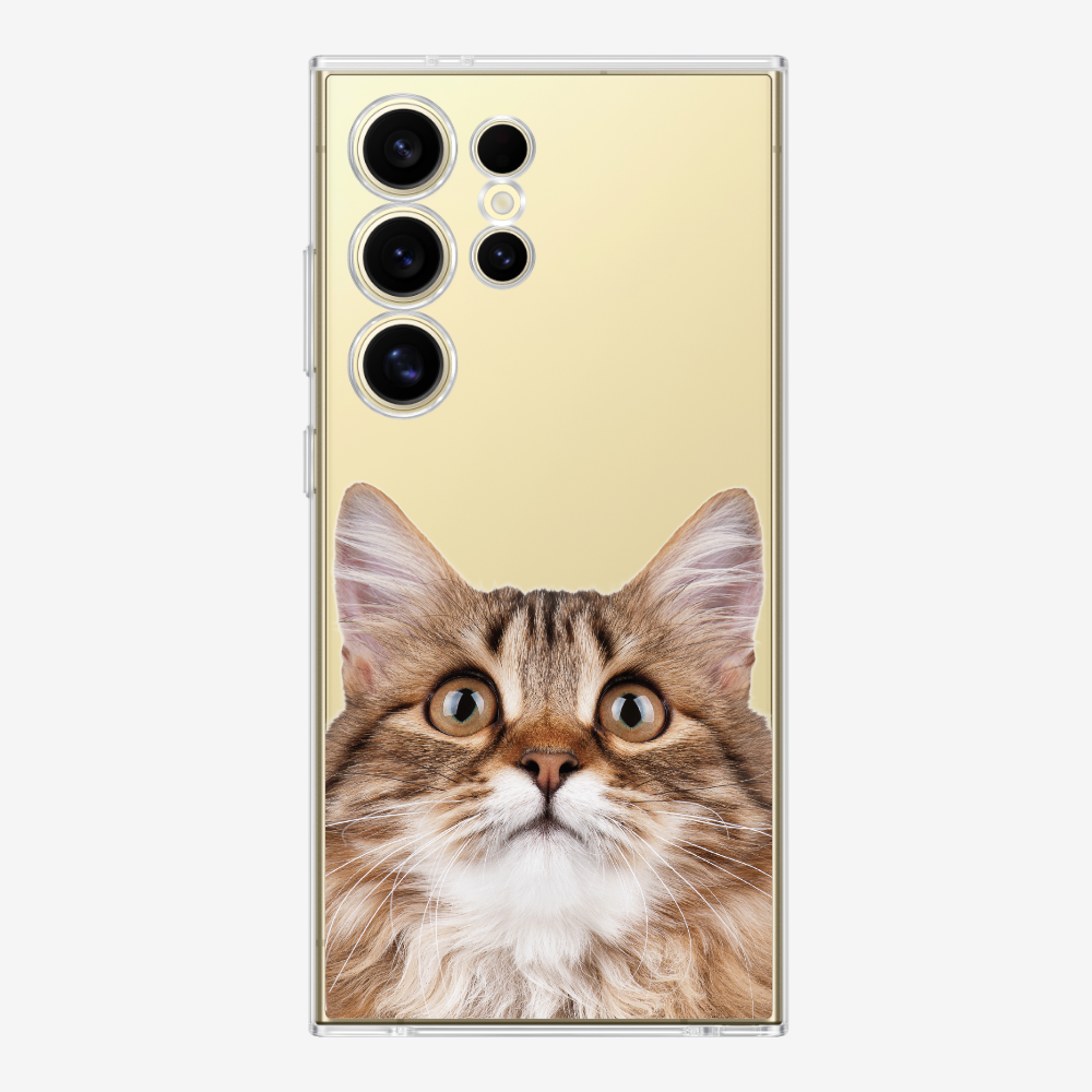 Long-haired Kitten (Transparent) Phone Case