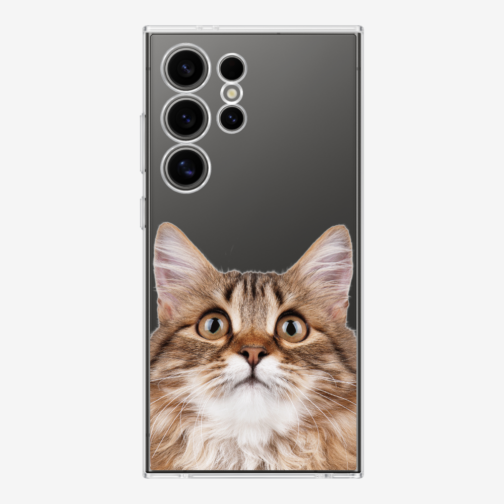 Long-haired Kitten (Transparent) Phone Case