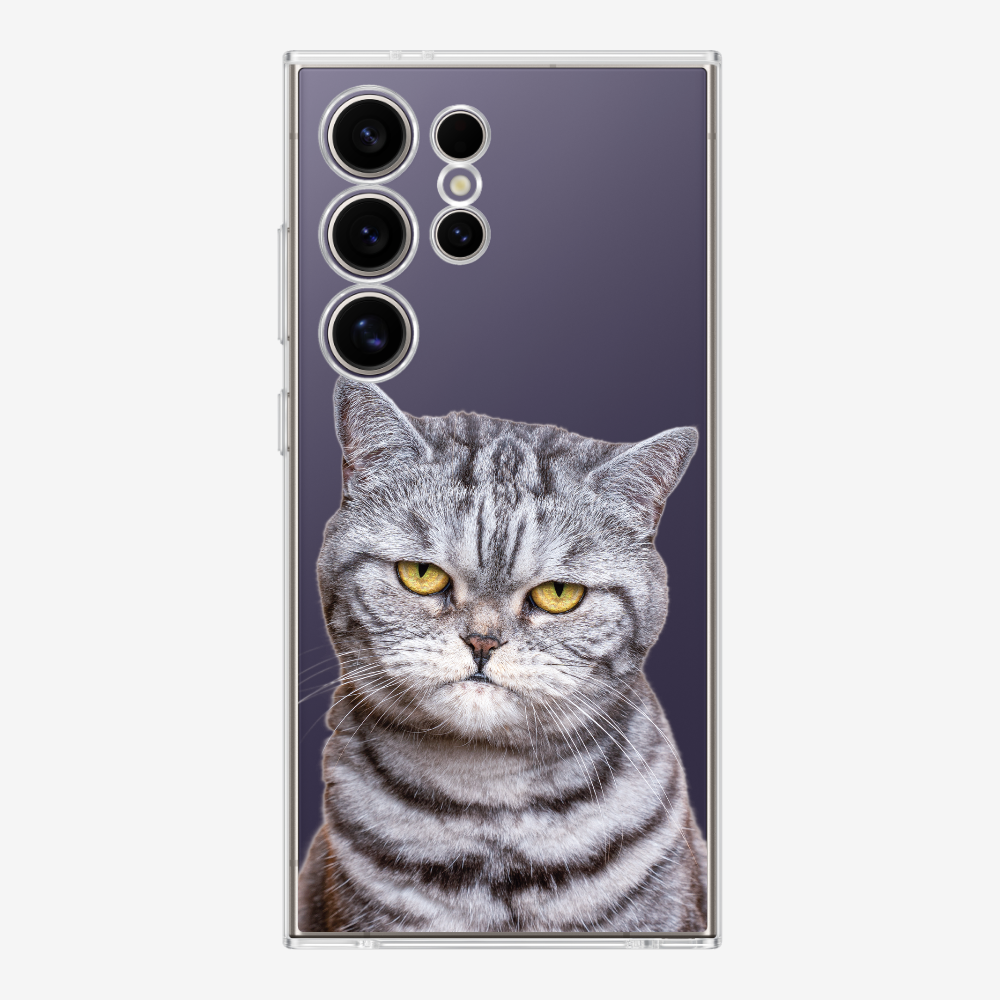 Silver Tabby (Transparent) Phone Case