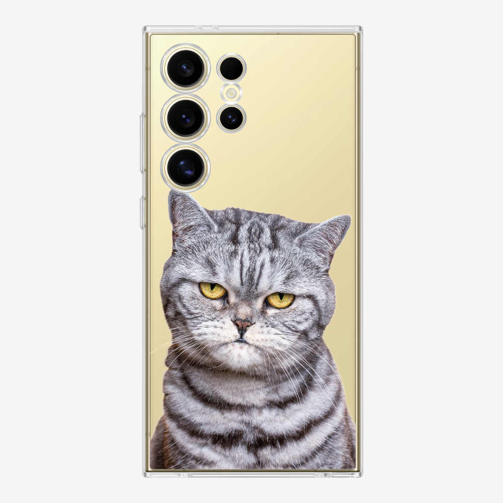 Silver Tabby (Transparent) Phone Case